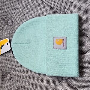 Carhartt Knit Beanie.